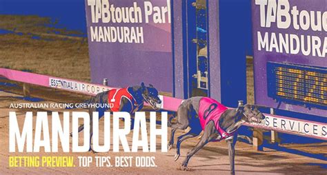 greyhounds betting promotions|Best Greyhound Betting Sites & Apps for June 2024.